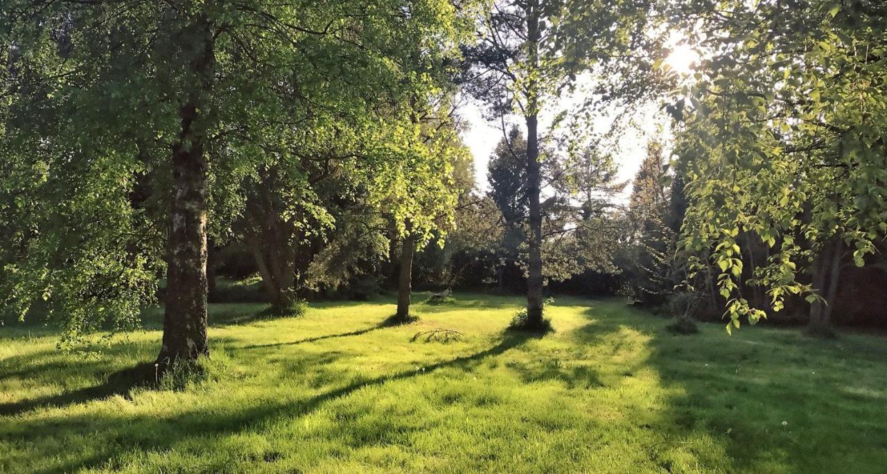 Domki Nad Morzem Cello Ostrowo  Esterno foto